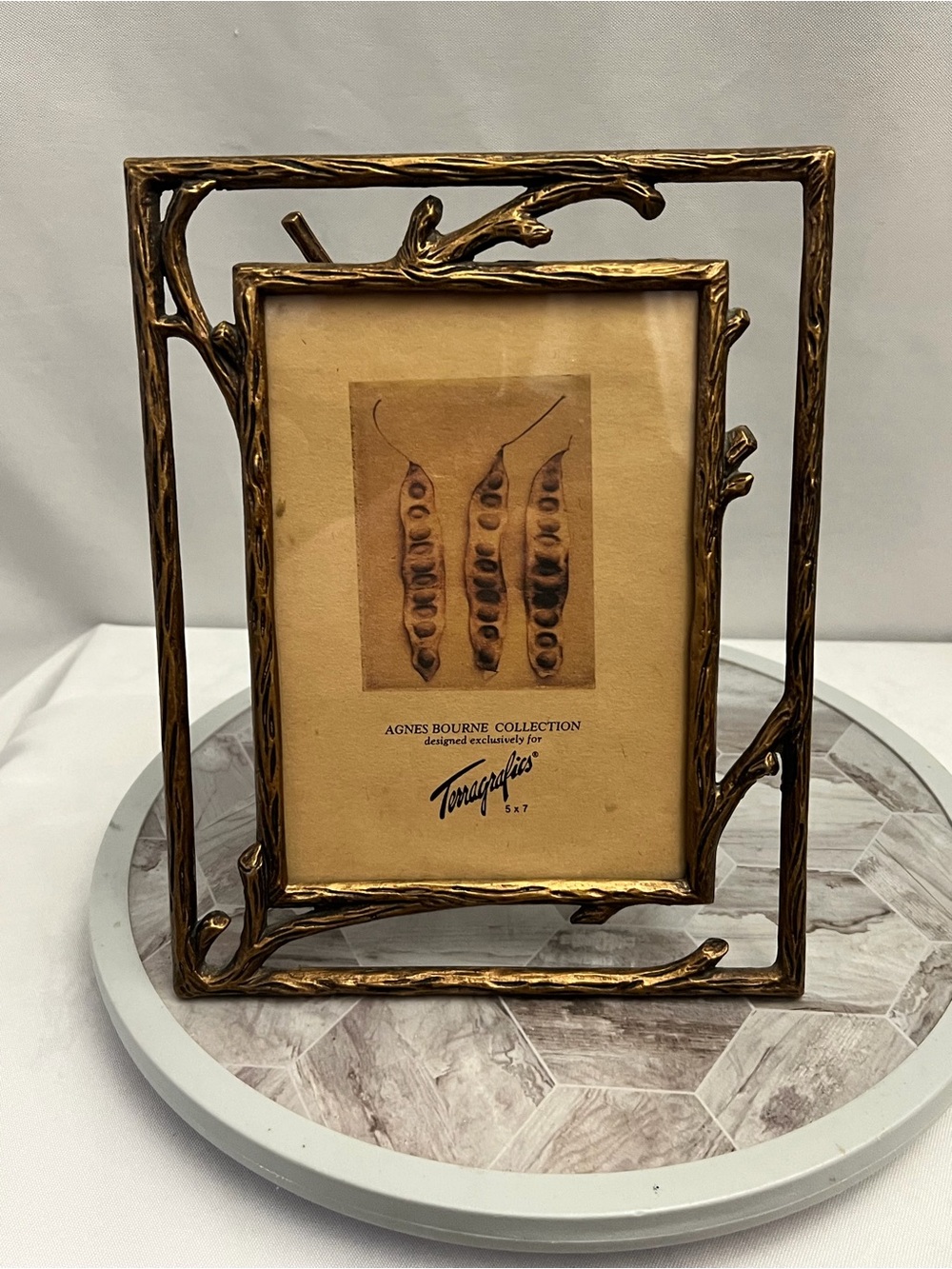Terragrafics Agnes Bourne Collection 5x7 Gold Branch Twig Easel Picture Frame